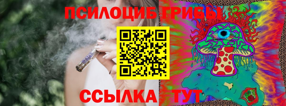 Псилоцибиновые грибы мицелий  Вход с VPN  Псилоцибиновые грибы Psilocybe  Нурлат 